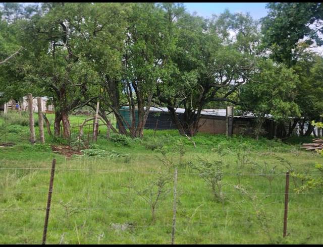 FARM FOR SALE IN QUEENSTOWN RURAL